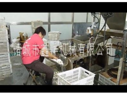 剝皮機的出廠前試用