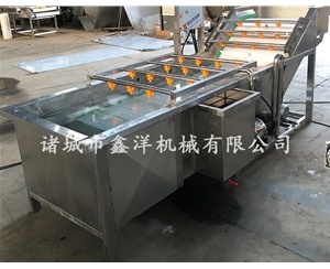 果蔬氣泡清洗機